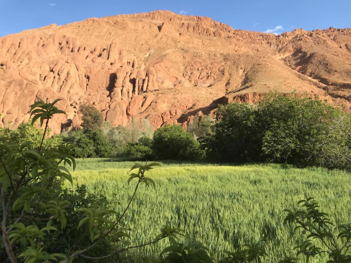 Maison D'Hote Amazir Boumalne Dış mekan fotoğraf