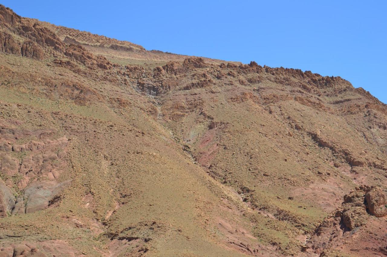 Maison D'Hote Amazir Boumalne Dış mekan fotoğraf